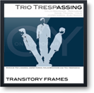 transitory_frames